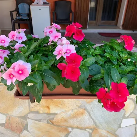 Sterlizia 4* Alghero