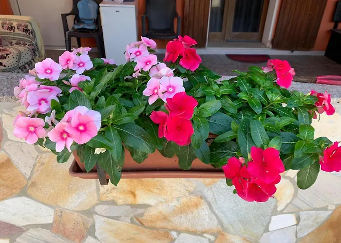 Sterlizia 4* Alghero