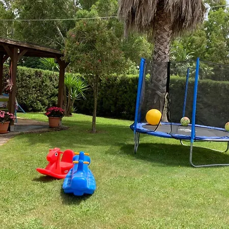 Sterlizia אלגהרו